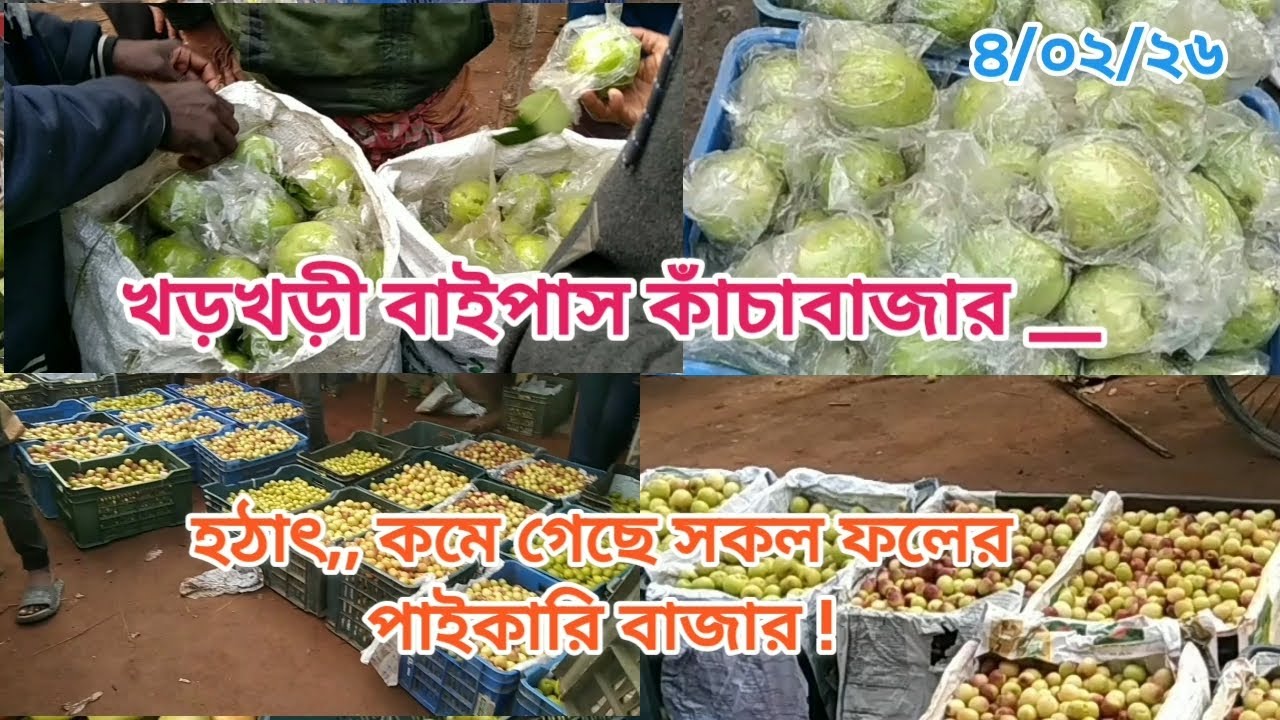 রাজশাহী সবচেয়ে বড় ফলের পাইকারি বাজারে। হঠাৎ কমেছে পেয়ারা ও বড়ই এর পাইকারি দাম! #আজকেরহাটবাজার