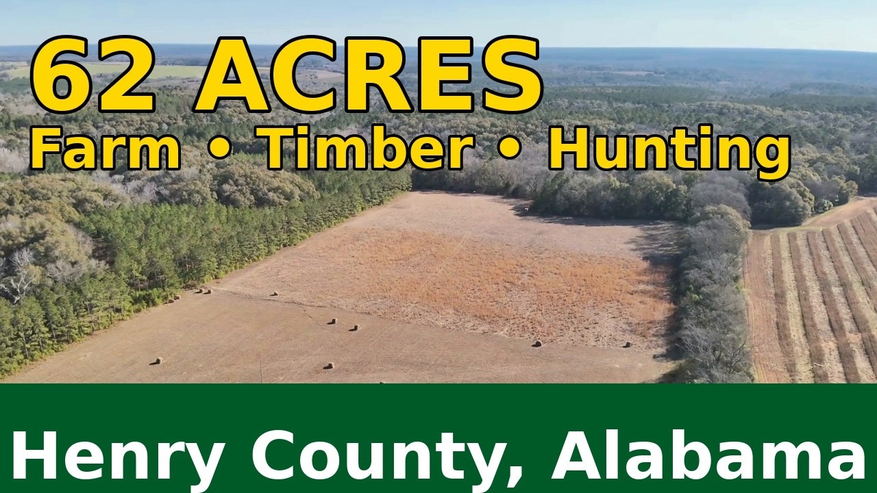 62 Acres for Sale in Henry County Alabama | Farm & Timber Land