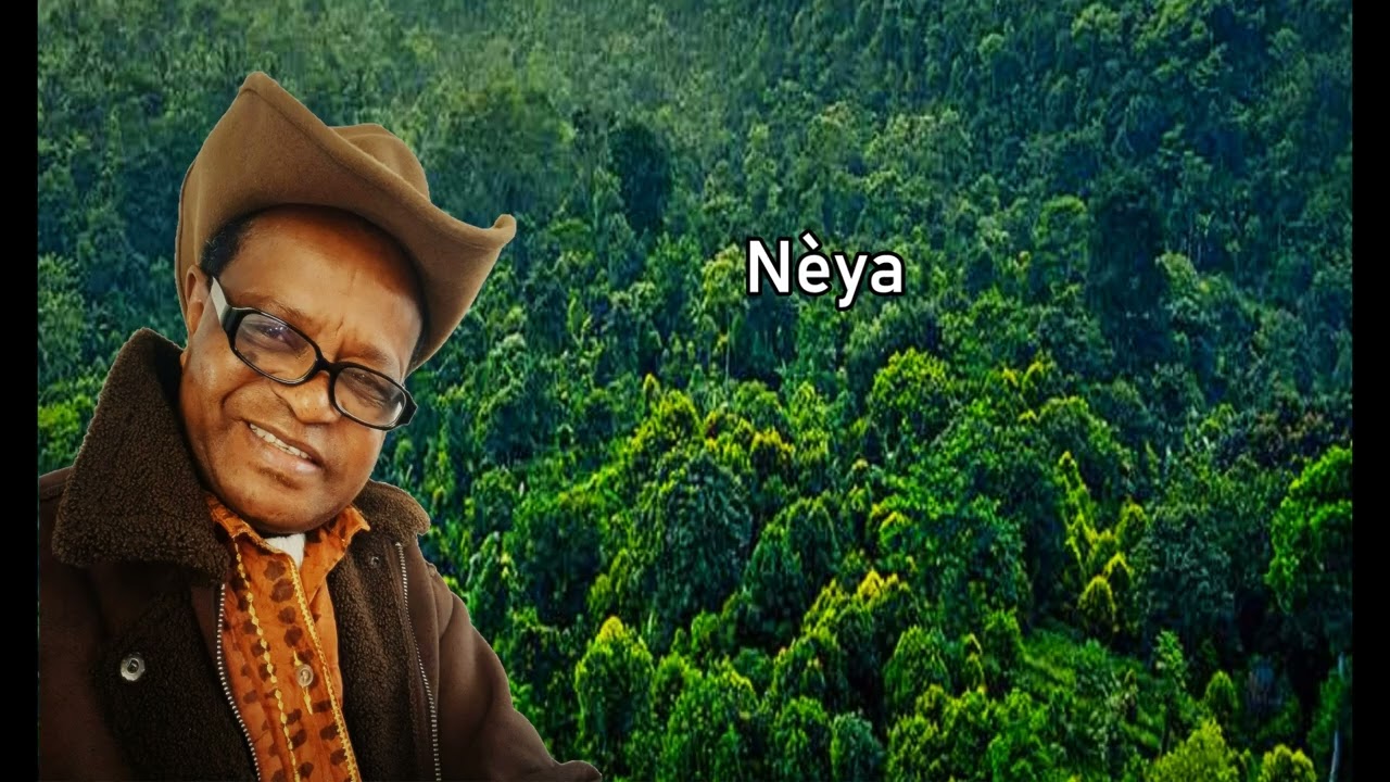 Nèya - Pépé Tavaguèze Kolié
