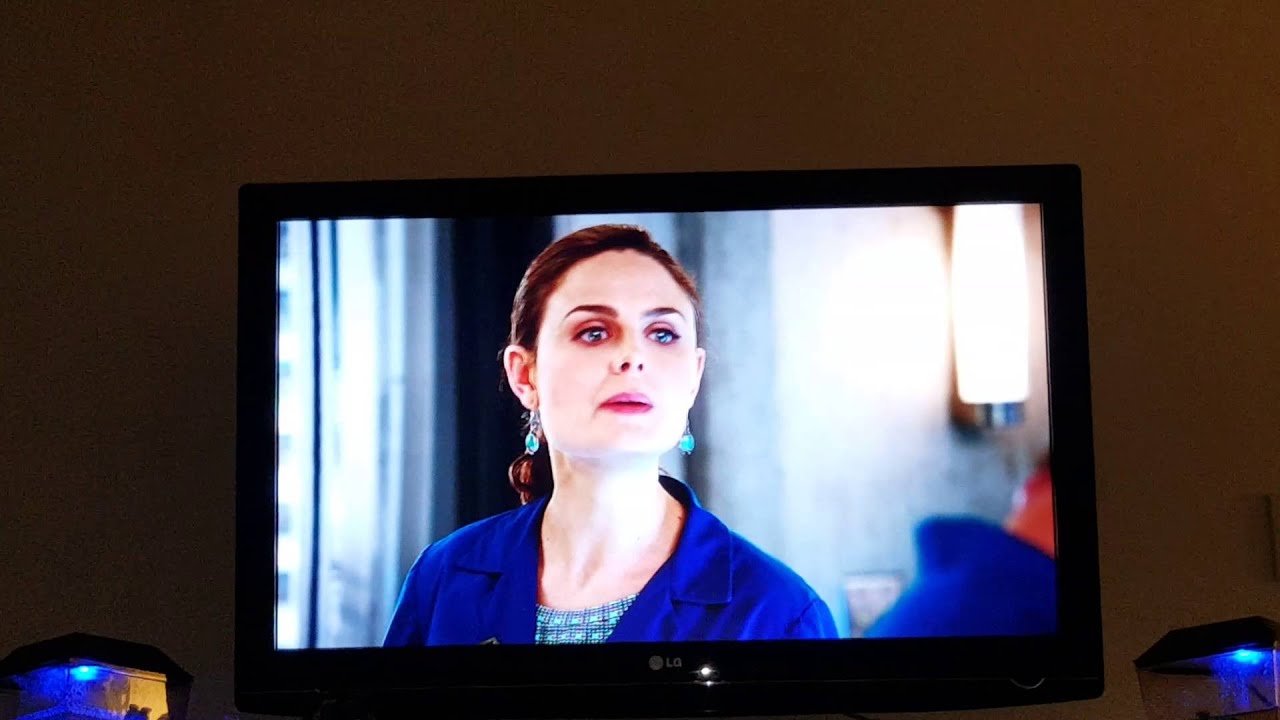 Hodgins is the surrogate for a bot fly--Bones