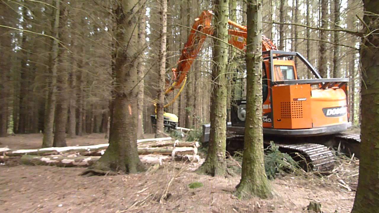 AFM 50 Harvesting head on Doosan DX140R