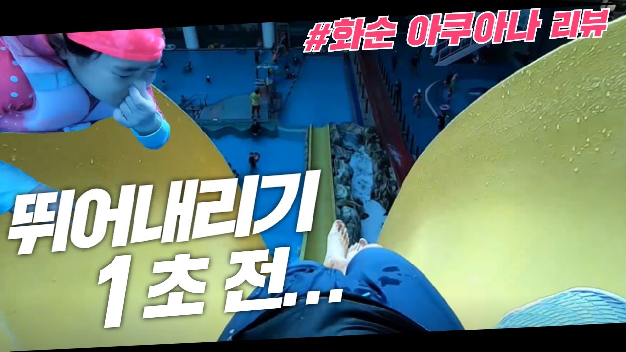 공모전 상금을 위해 치트키를 쳐버린 어느 아재의 화순 아쿠아나 리뷰