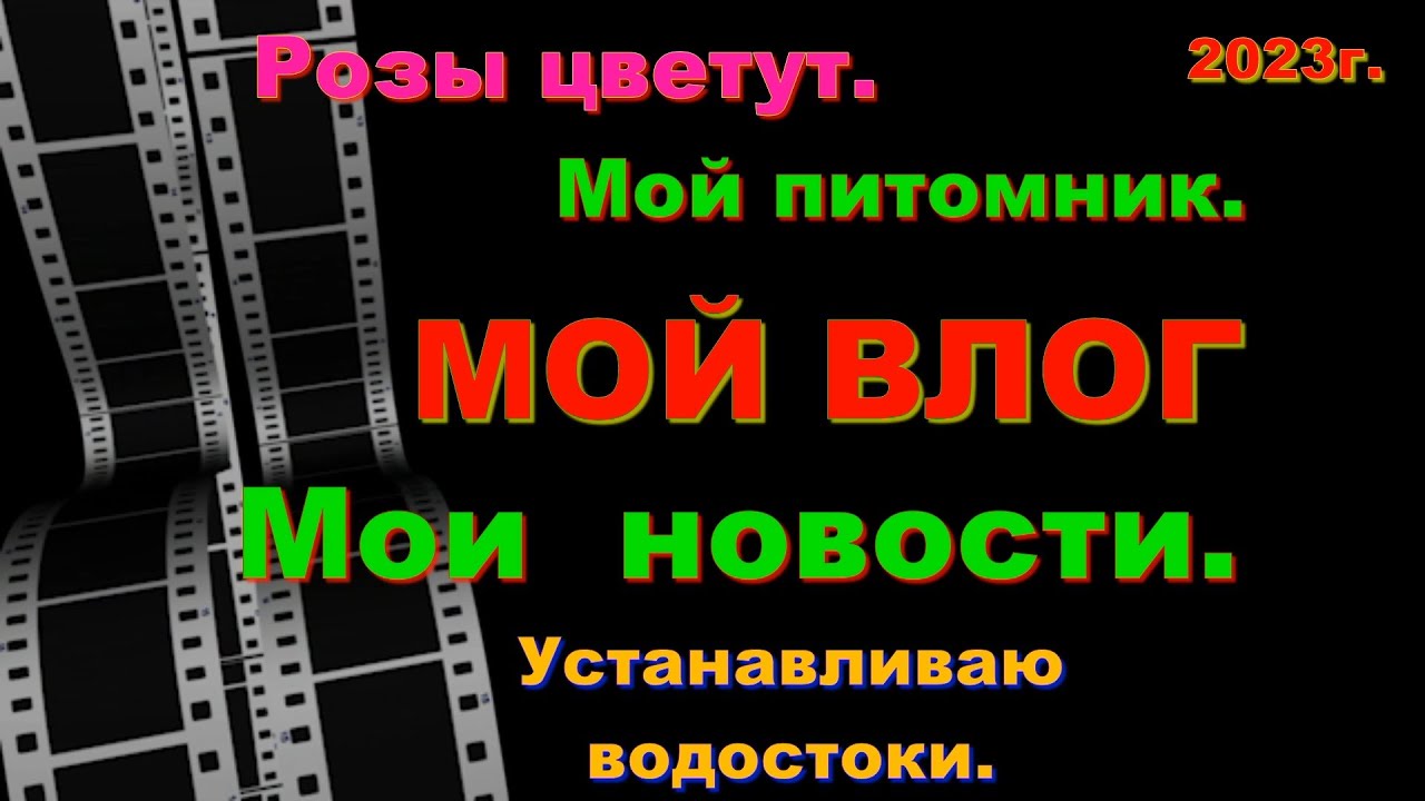 ВЛОГ. Мои новости за июнь. Продолжаю засыпку участка. Мой питомник. Клумбы в цвету. Влог.
