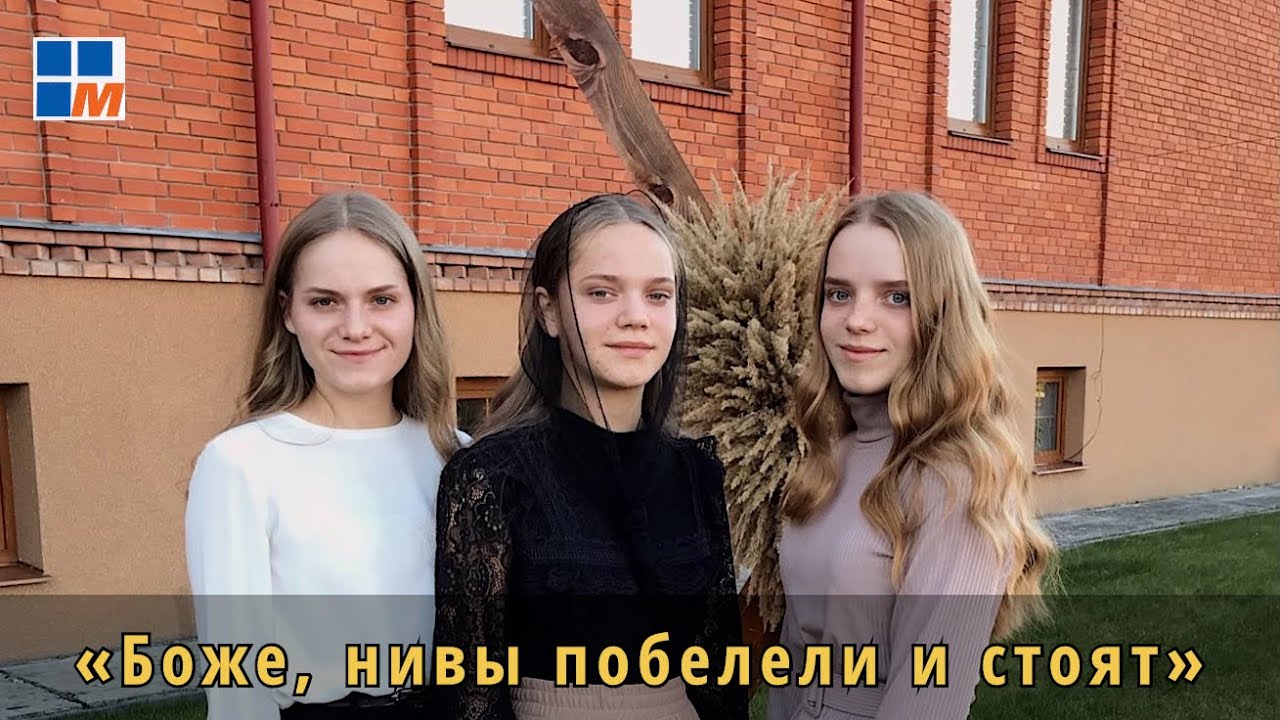 Боже, нивы побелели и стоят | тріо Капарчук
