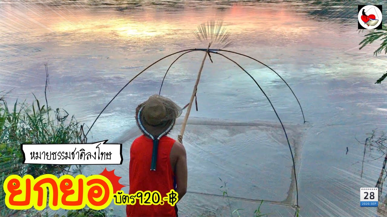 ยกยอ บ่อเหมาม่วนๆ ►Fishing lifestyle Ep.439