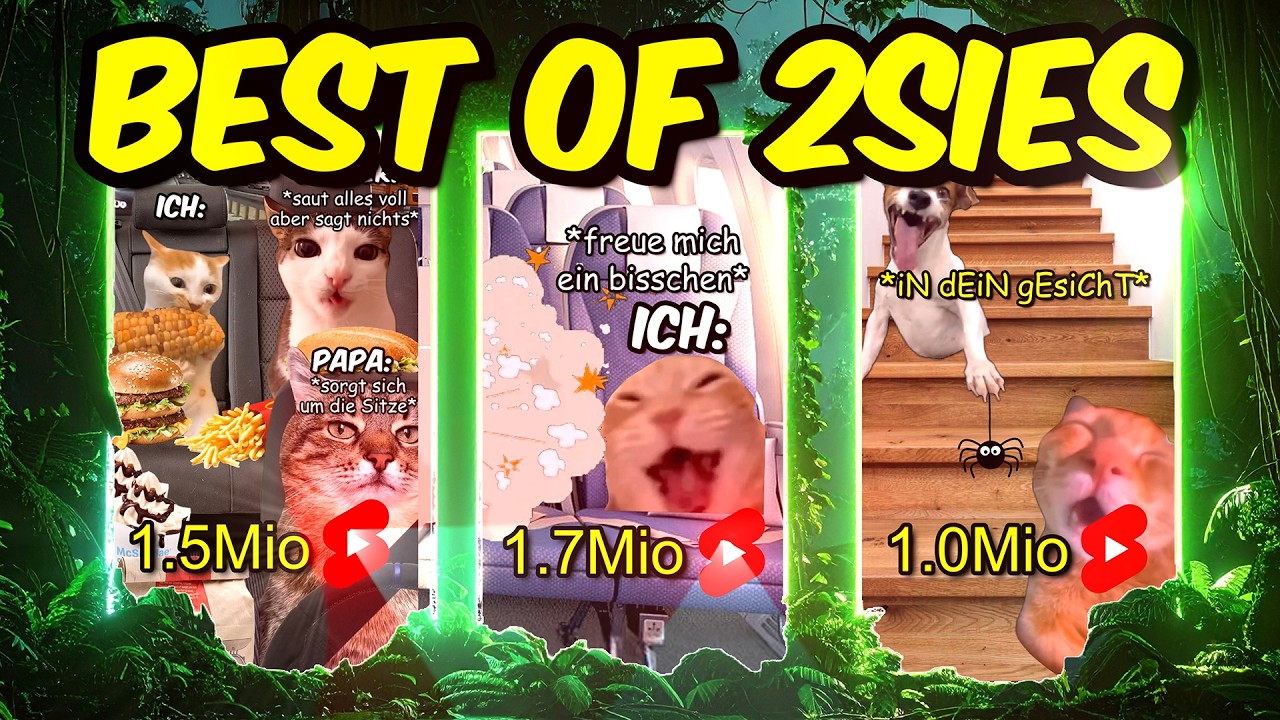 Vom Spinnenangriff bis zum Flugzeugabsturz 😭✈️ – welches Short war am wildesten?! (Best of 2sies #1)
