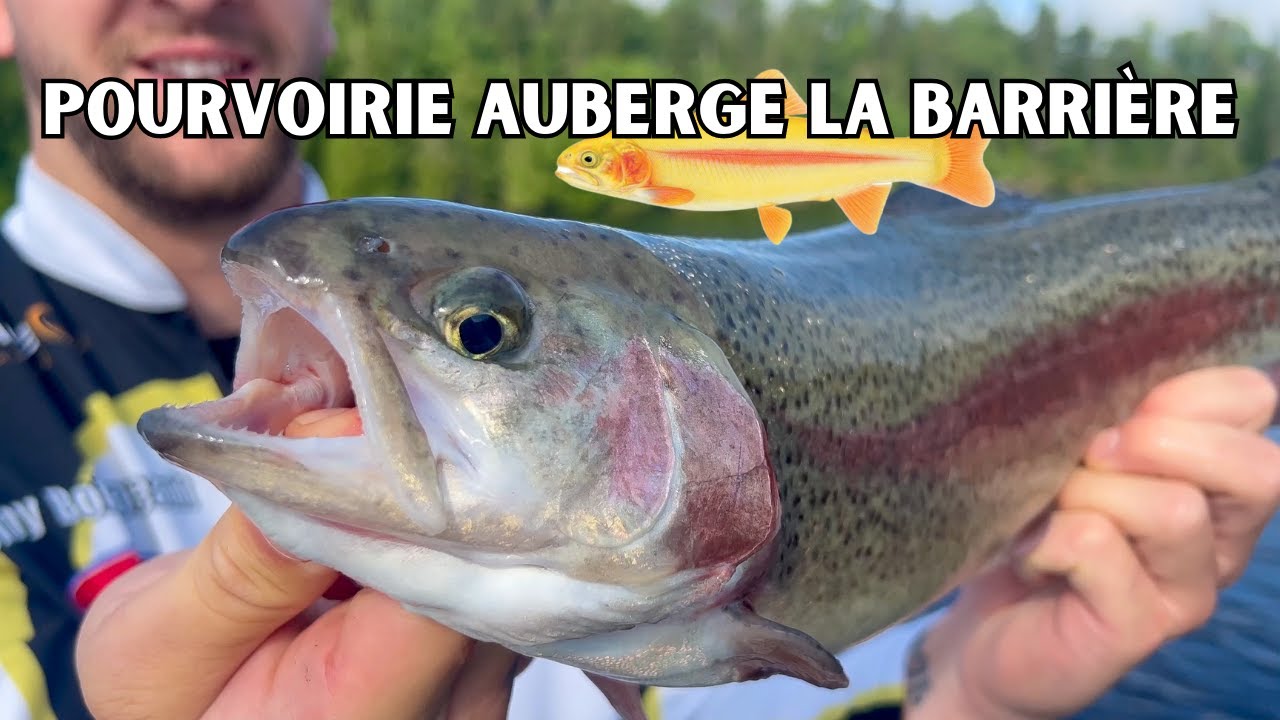 Pourvoirie Auberge La Barrière - Truite de RÊVE !