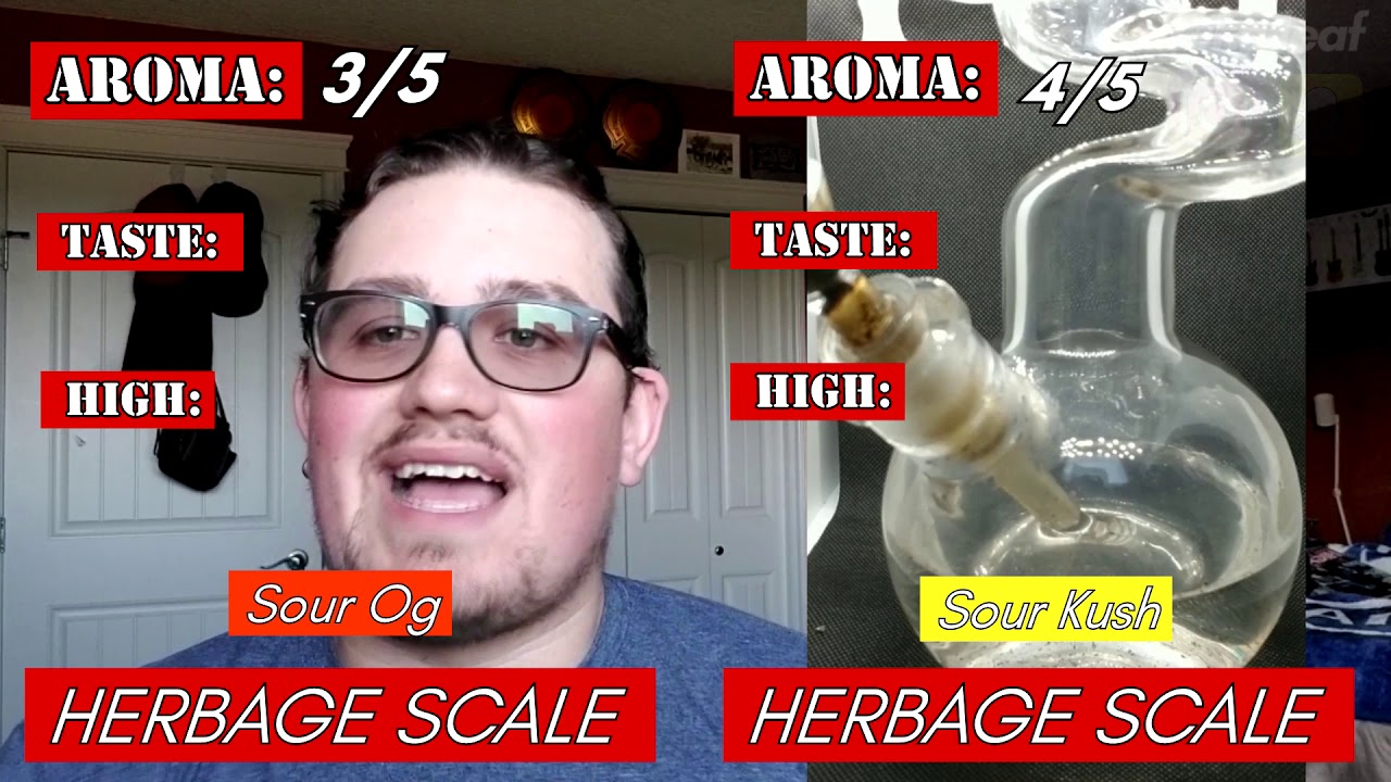 Right of the Leaf's 10th One Hitter Weed Review Sour O.G. from Broken Coast vs Sour Kush by Symbol