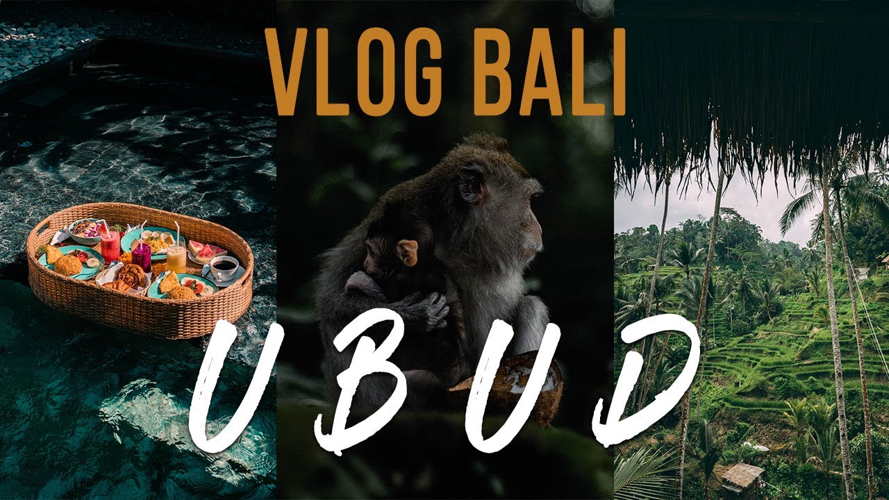 VLOG BALI / UBUD Rizières, Monkey Forest et cascades