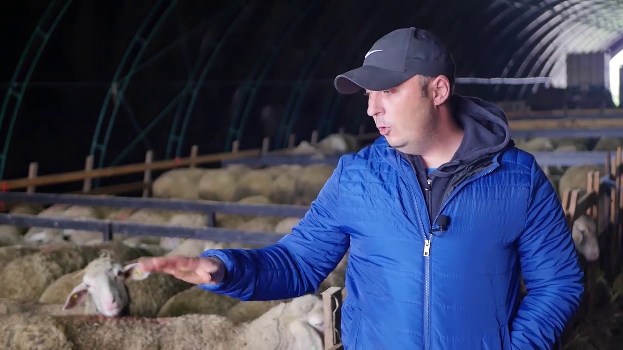 Na&scaron;a priča ep. 278 17.12.2020. Ivan Vijatov, Novi Bečej, ovčarstvo