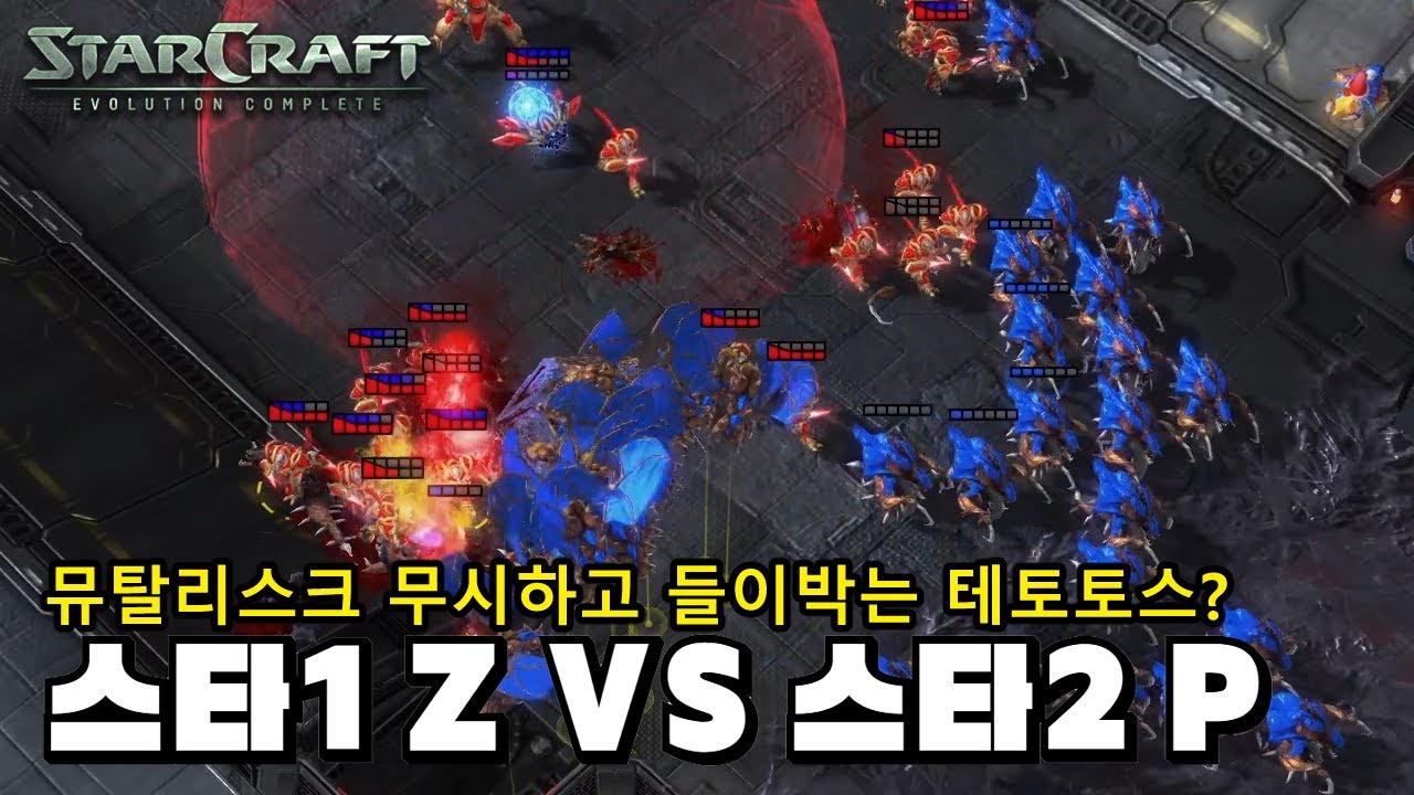 [스타1vs스타2] 섹시저그 이병렬 vs 테토토스 김준호의 치열한 EVO 공방전!