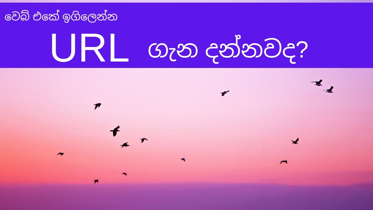 What is URL - in Sinhala