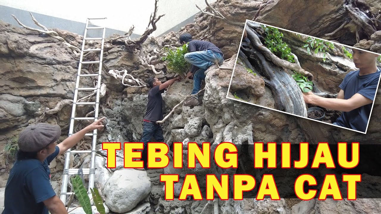 ADA YANG SEGER TAPI GAK BIKIN BATAL PUASA; Vertical scape di lahan 7x3m eps.04