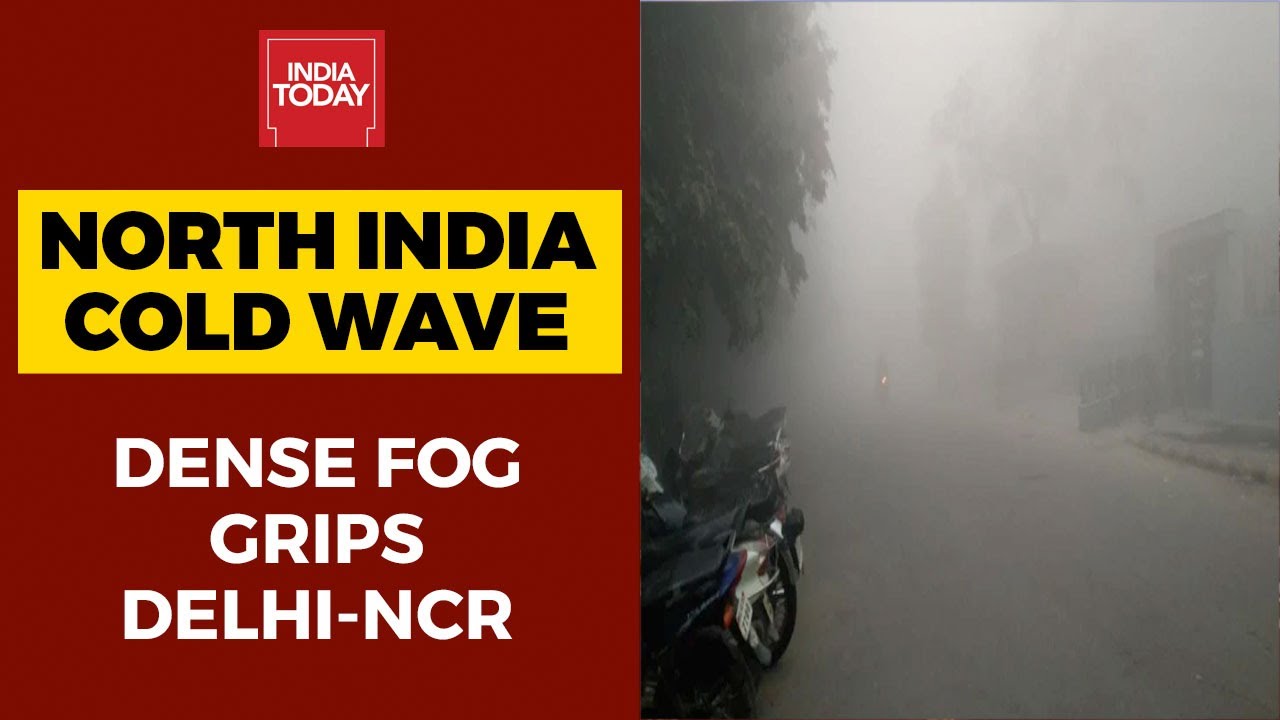 North India Cold Wave | IMD Predicts Cold Wave Conditions Over North India For Next 3-4 Days