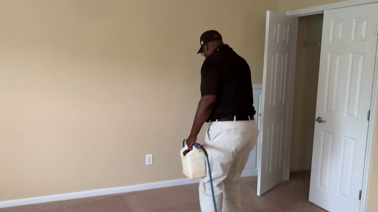 Carpet Cleaning Pet Dander Removal
