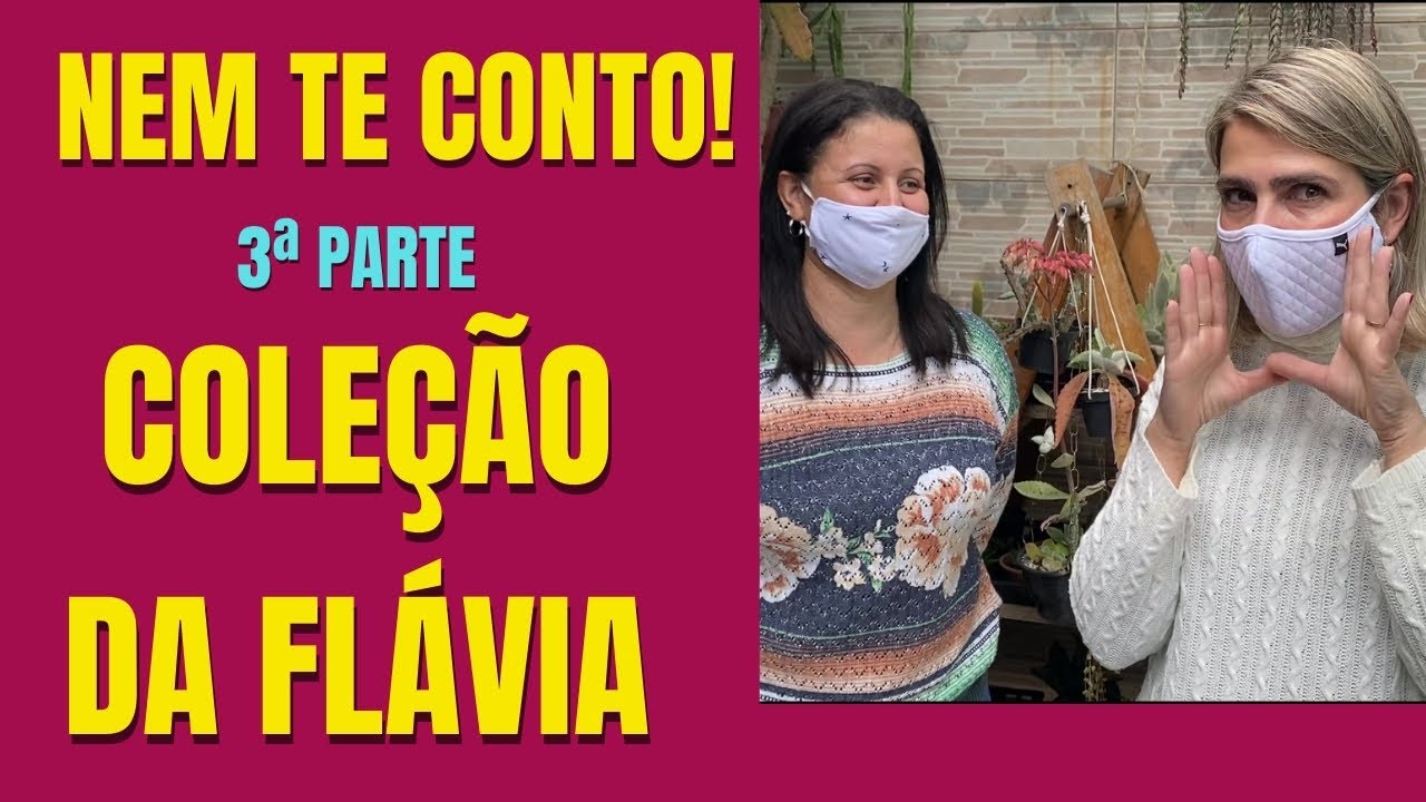 VISITANDO COLECIONADOR: um SHOW de PENDENTES e CACTOS na latinha/Grazi Bittencourt