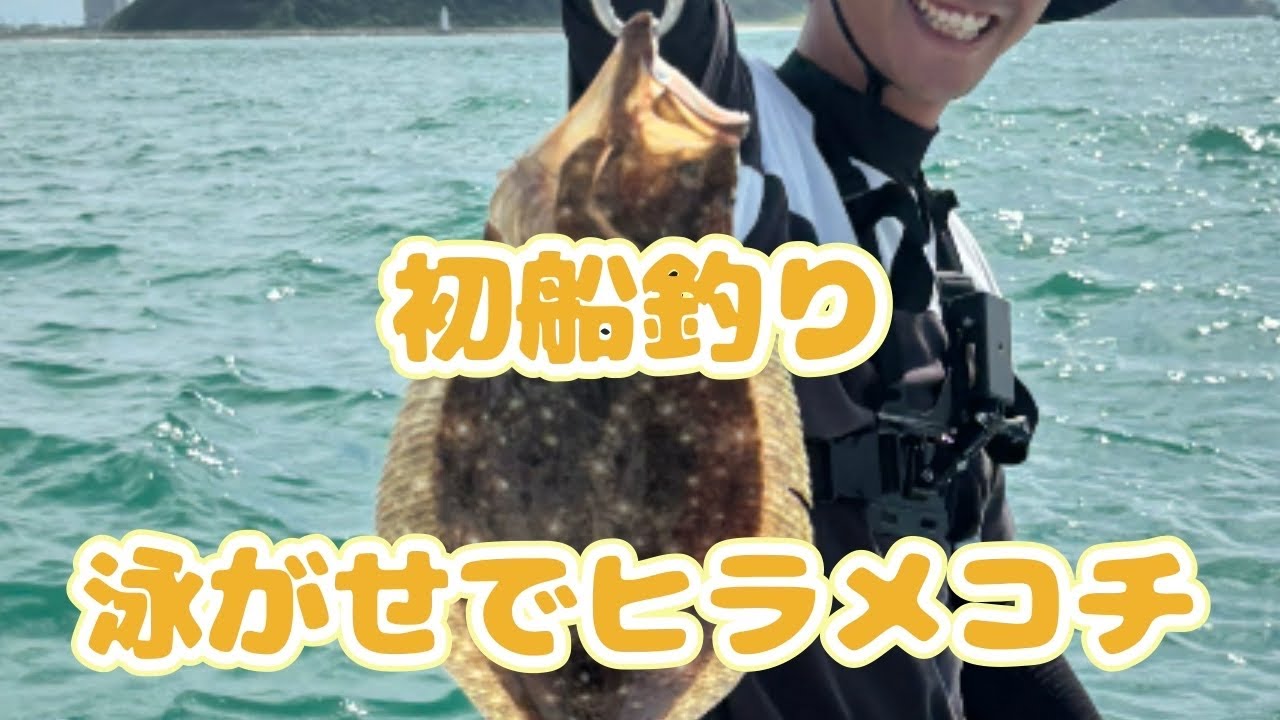師崎港から船で釣りしに行ったら泳がせ釣りでヒラメコチ大漁だった#fishing #ヒラメ #ヒラメ釣り #愛知県
