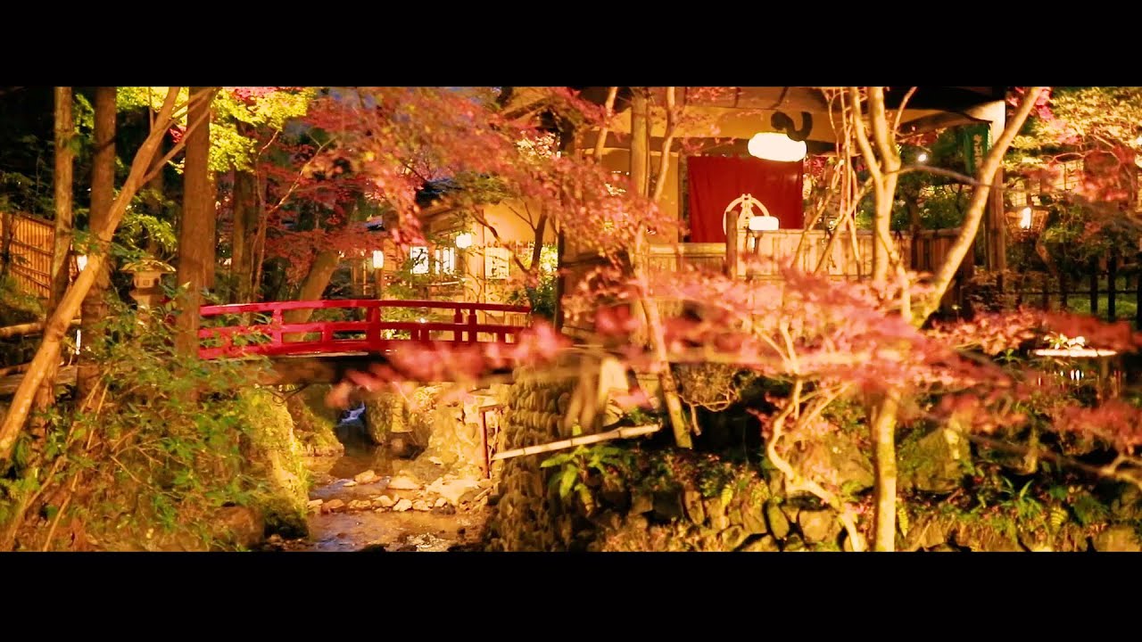 UKAI TORIYAMA Introduction Movie in Autumn | Beautiful Autumn Leaves | Japanese Food Trip in Tokyo