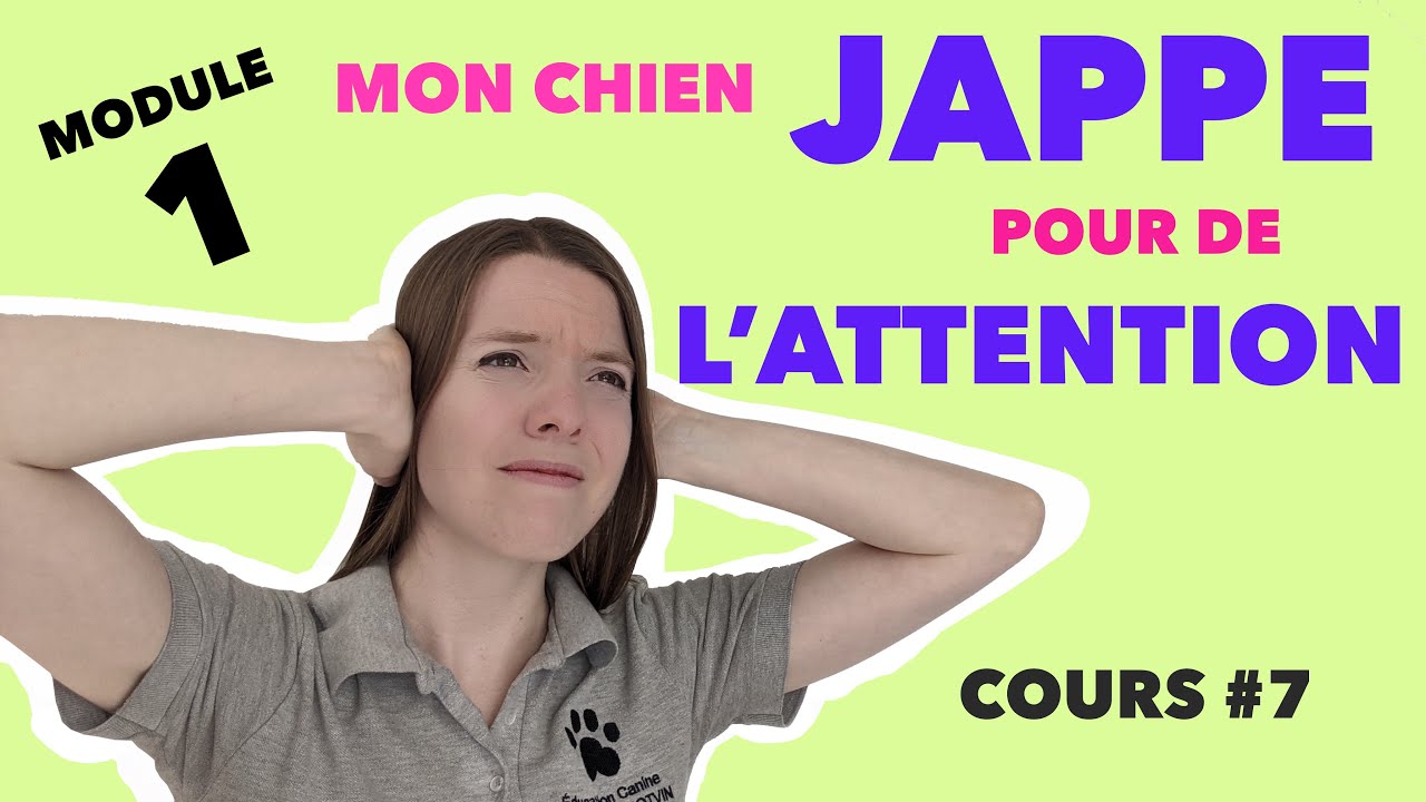 Module 1: 7-Mon chien jappe pour de l'attention  | EDUCATION CANINE GRATUITE AVEC CHRISTINA POTVIN