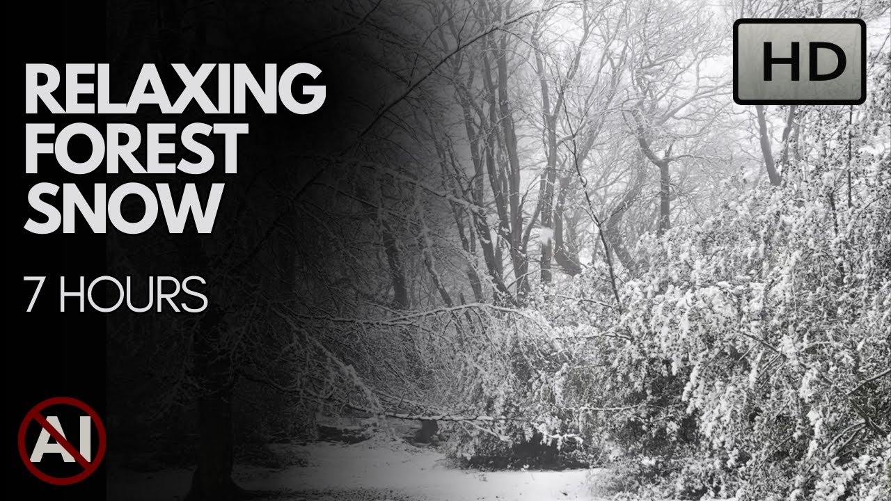 Deep sleep forest snowfall rain sounds for studying, sleep, and meditation. No AI