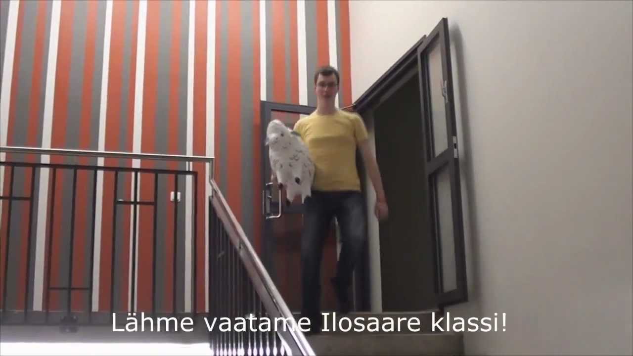 Tutipeoks valmistumine starring lammas Pilleriin