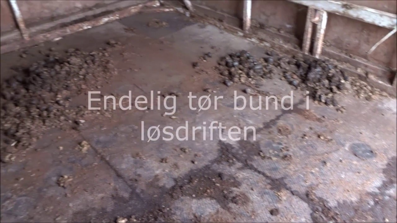 Tør bund i løsdrift