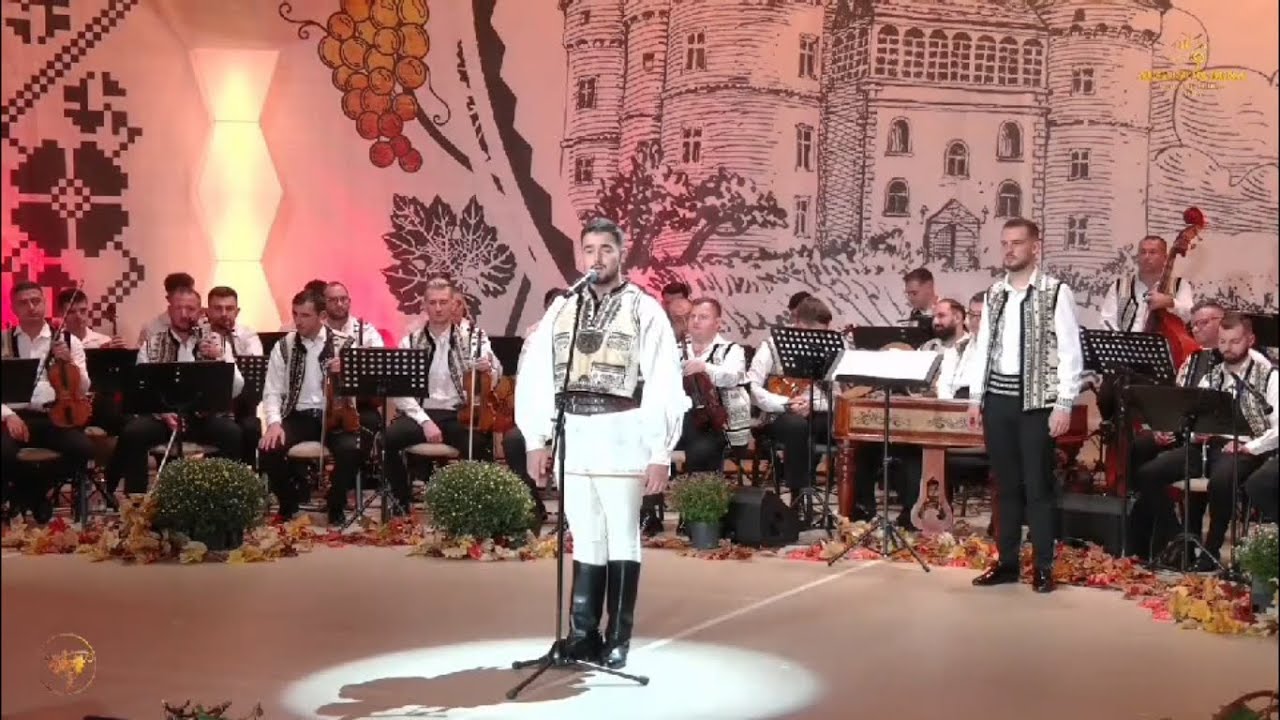 Vasile Raul Balogh - Festivalul Național de Folclor ”Strugurele de Aur” 2024