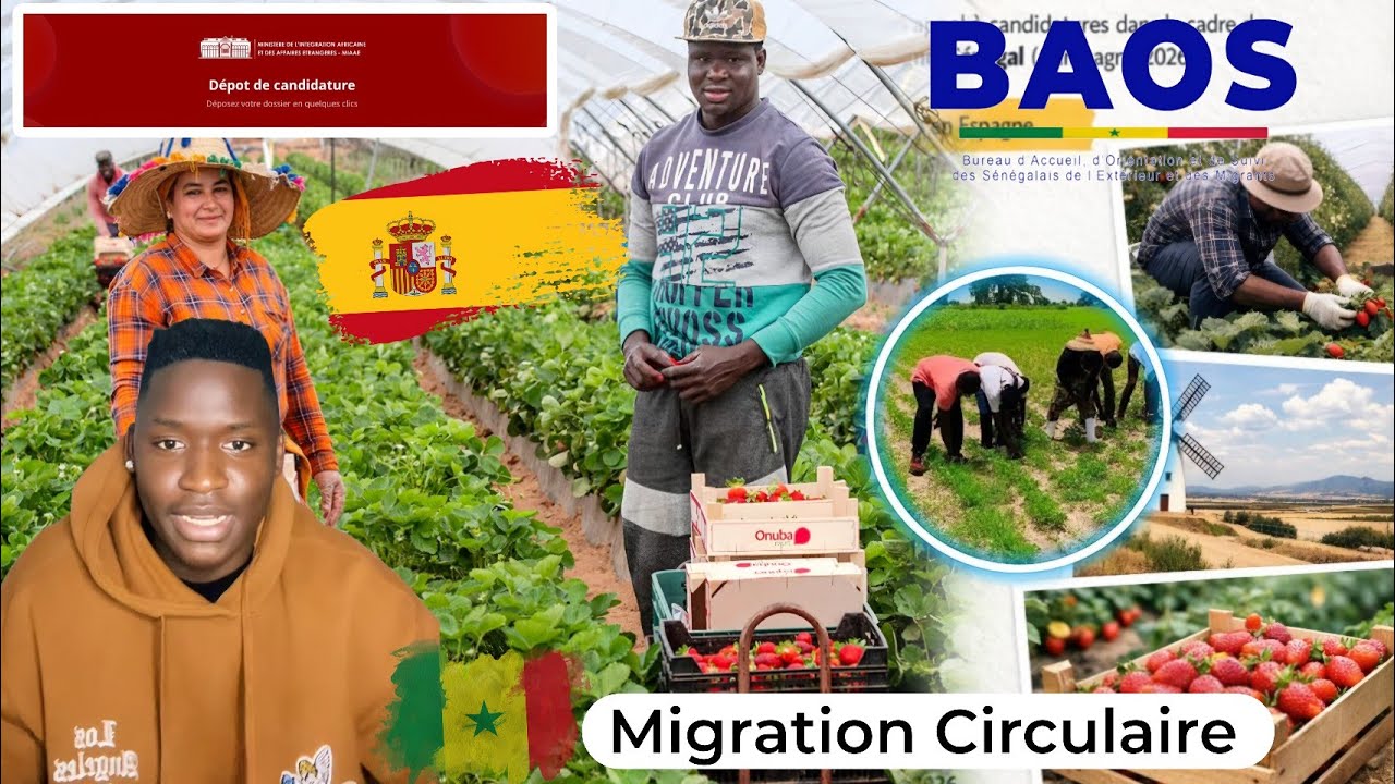 Espagne Baos Liguey na si tole yi parcours d'un &eacute;migr&eacute;s au Baos migration circulaire 
