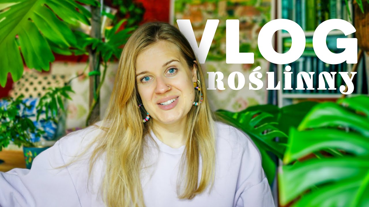 🌟 Philodendron za grosze, roślina z wymiany, nowy sposób ukorzeniania i inne