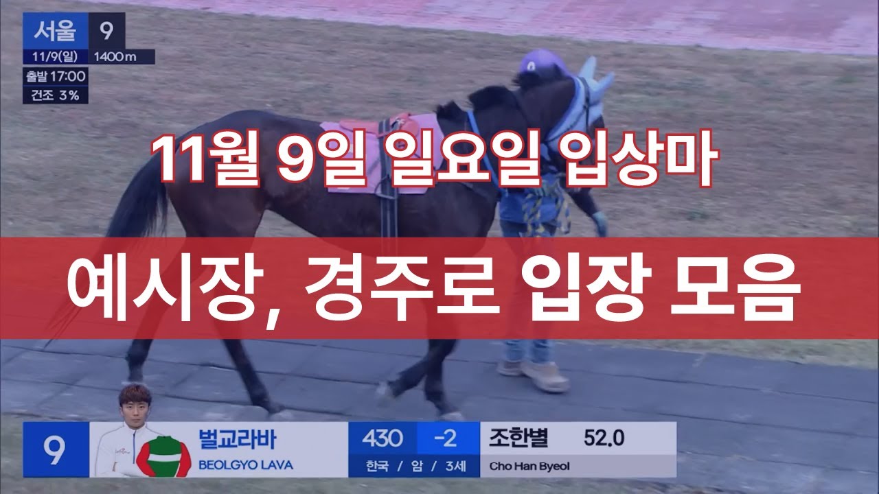 11월 9일 일요일 입상마 예시장, 경주로 입장 모음