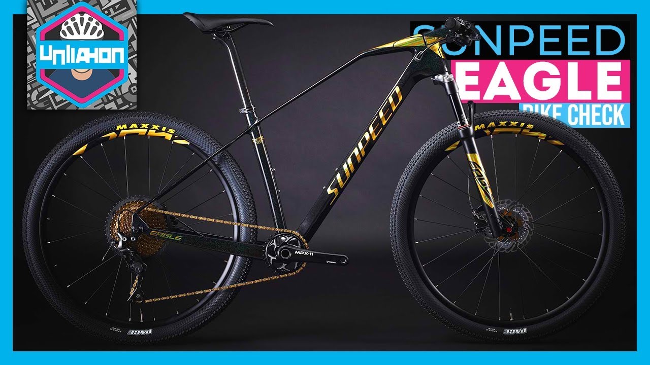 Sunpeed Eagle Carbon MTB - Bike Check and Specs Review