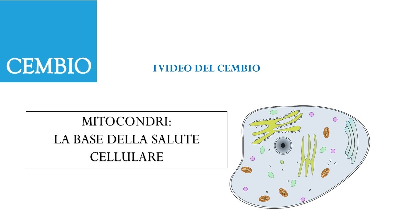 Mitocondri e salute - Cembio - Dott. Gianluca Tiri