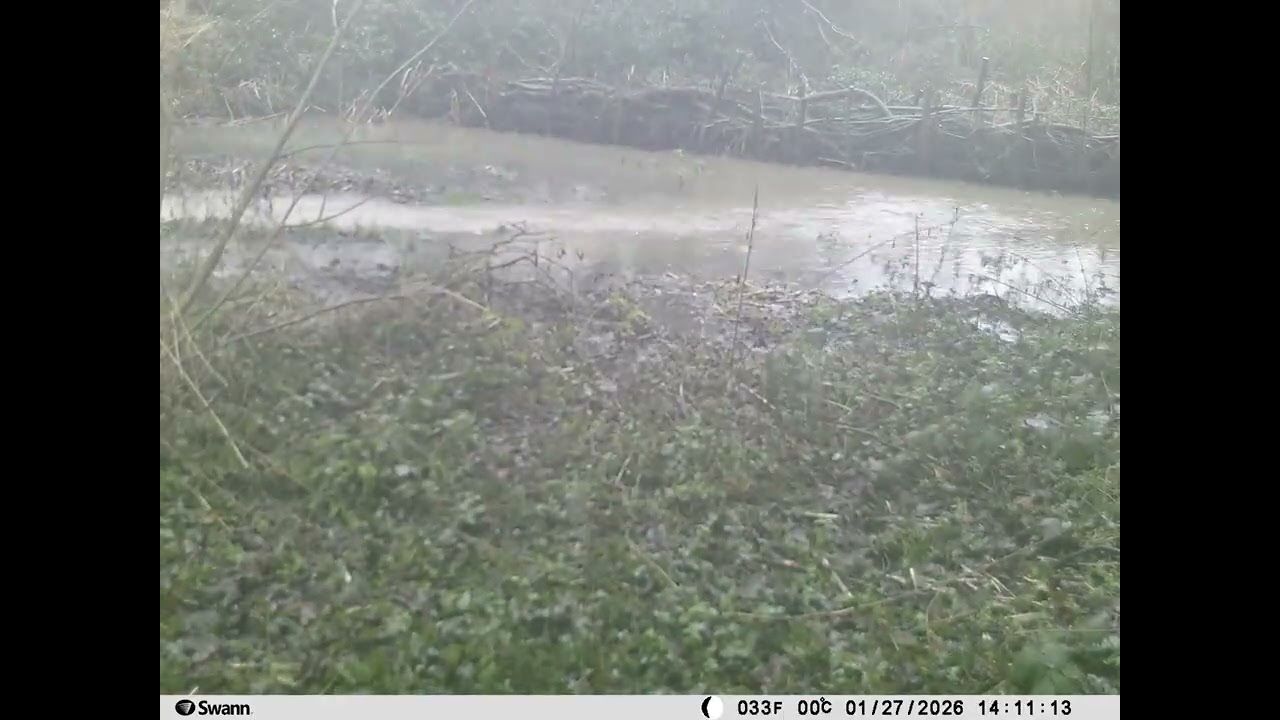 Leaky Barrier Renishaw