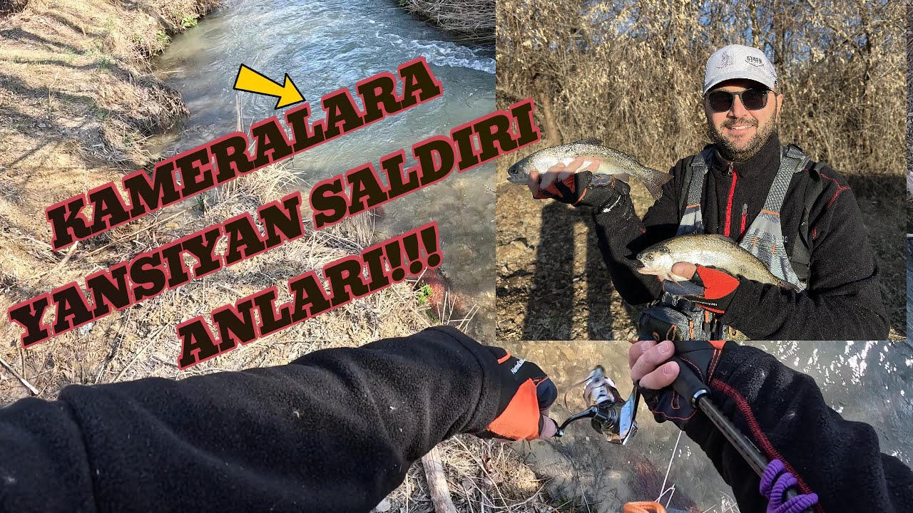 BU YEMLE BALIKLAR ÇILDIRDI.İNANILMAZ AV ANLARI #balıkavı #sivas  #viralvideo #fyp #lrf #trout #balık