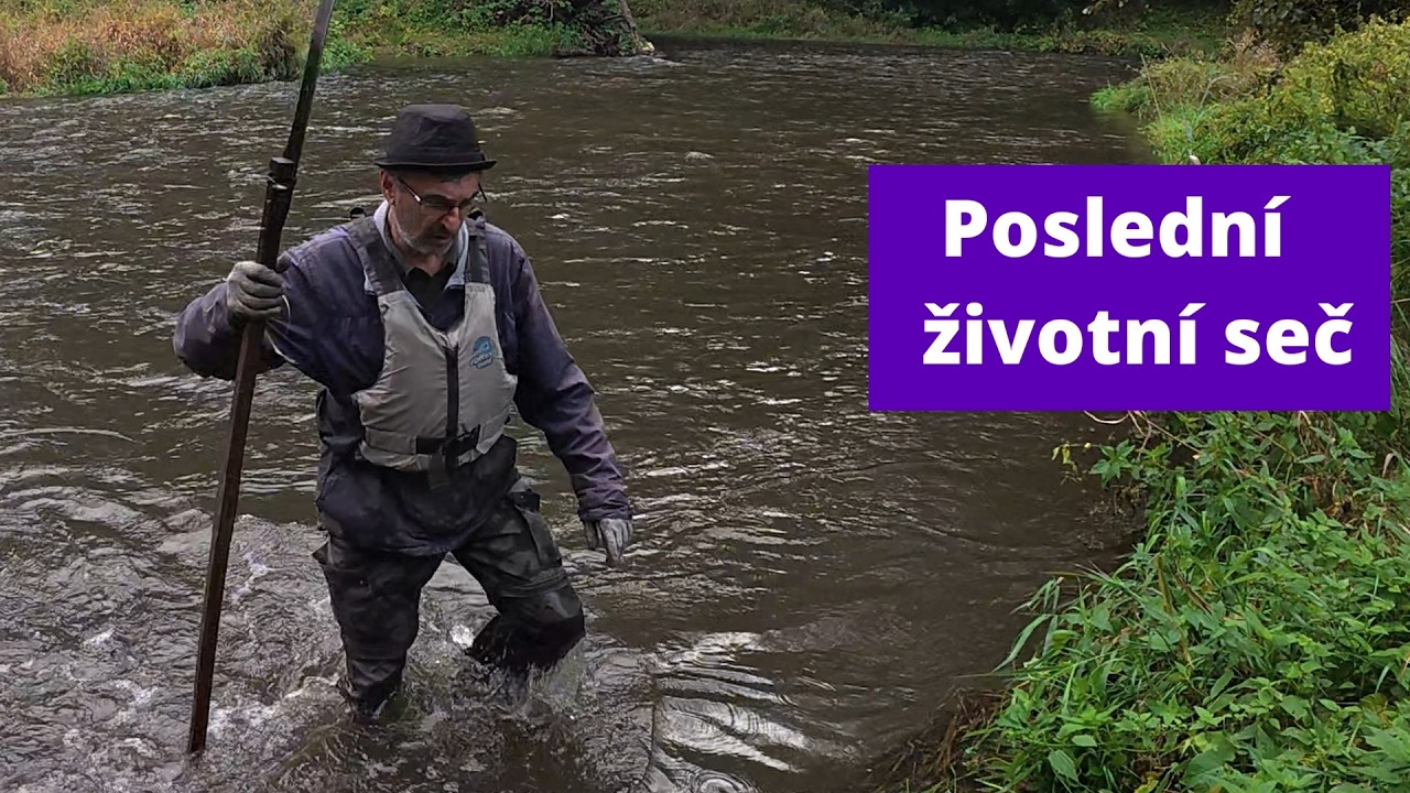 Invaze rostlin 16: A takhle to končí