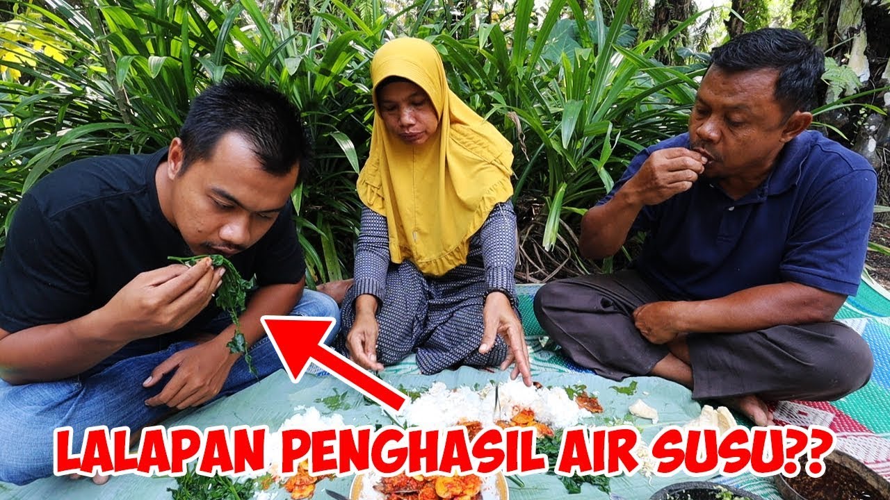 JENGKOL GEPREK BALADO YANG SANGAT...
