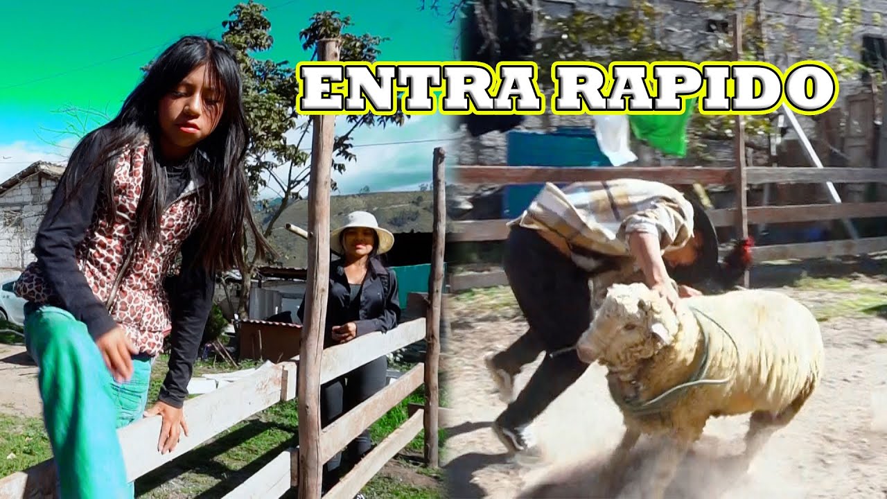 AHI QUIERO VER SI ERES HOMBRE | Rommel Racp Ft. Elvia Maji - Señora Marianita