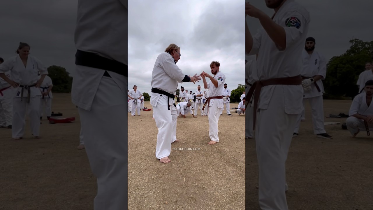 Летний лагерь BKG Kyokushin 2025 #kyokushin #shinkyokushin #karate #1kyokushin #Ichikyokushin #Ky...