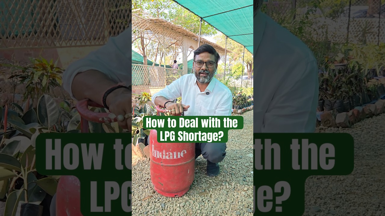 How to Cook During LPG Shortage in India?