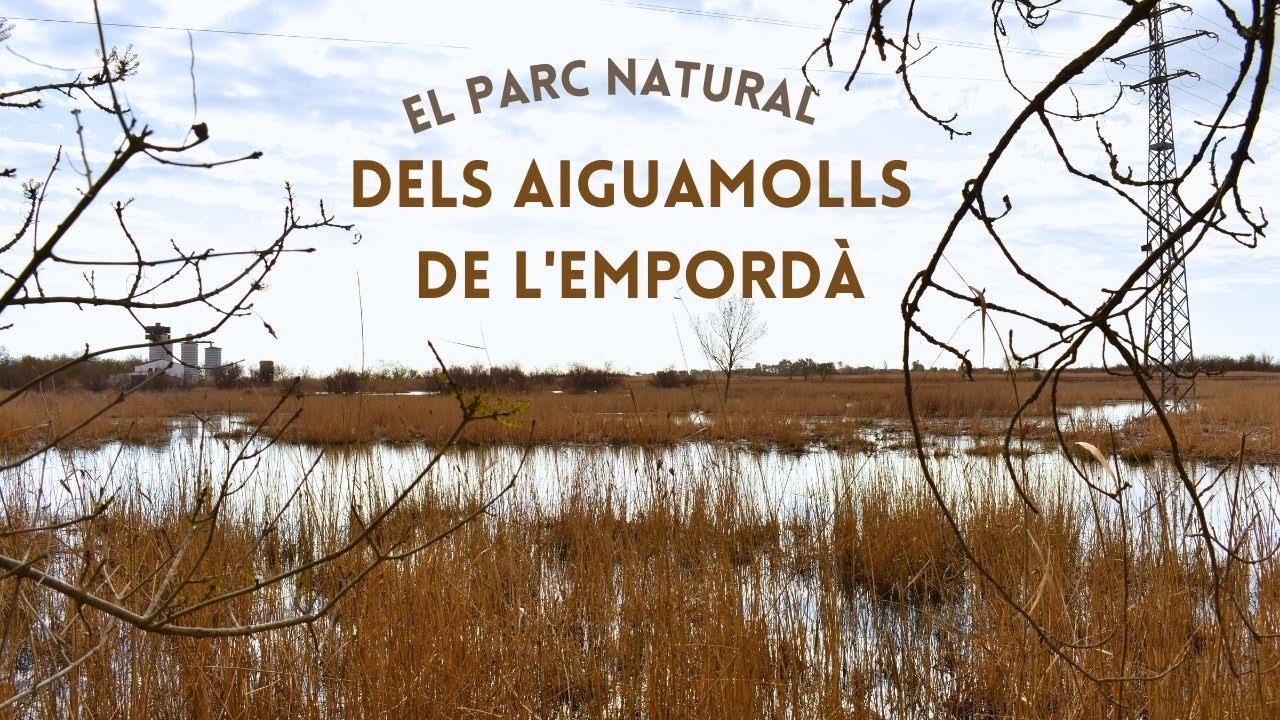 Parc Natural dels Aiguamolls de l'Empordà I SORTIDA DE CAMP