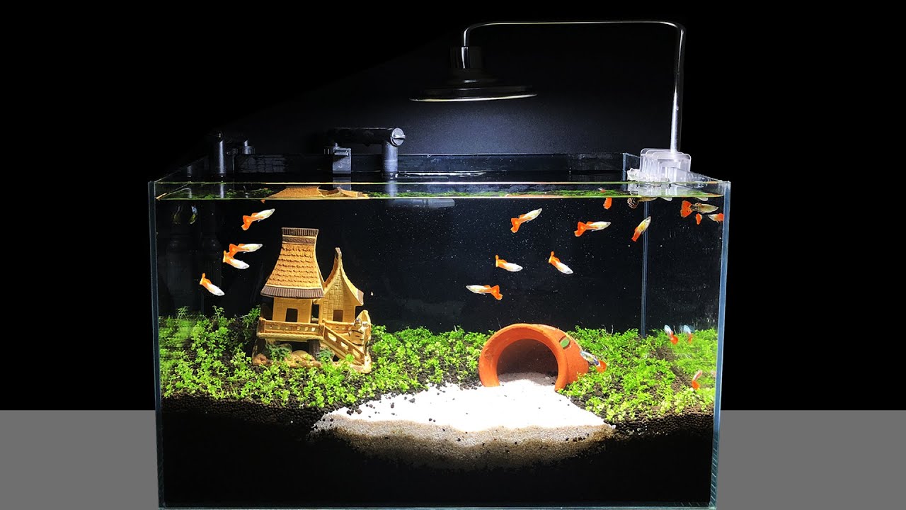 Step by Step Making an Aquarium for Guppies | Amazing DIY Nano Aquascape | Mr Decor #147