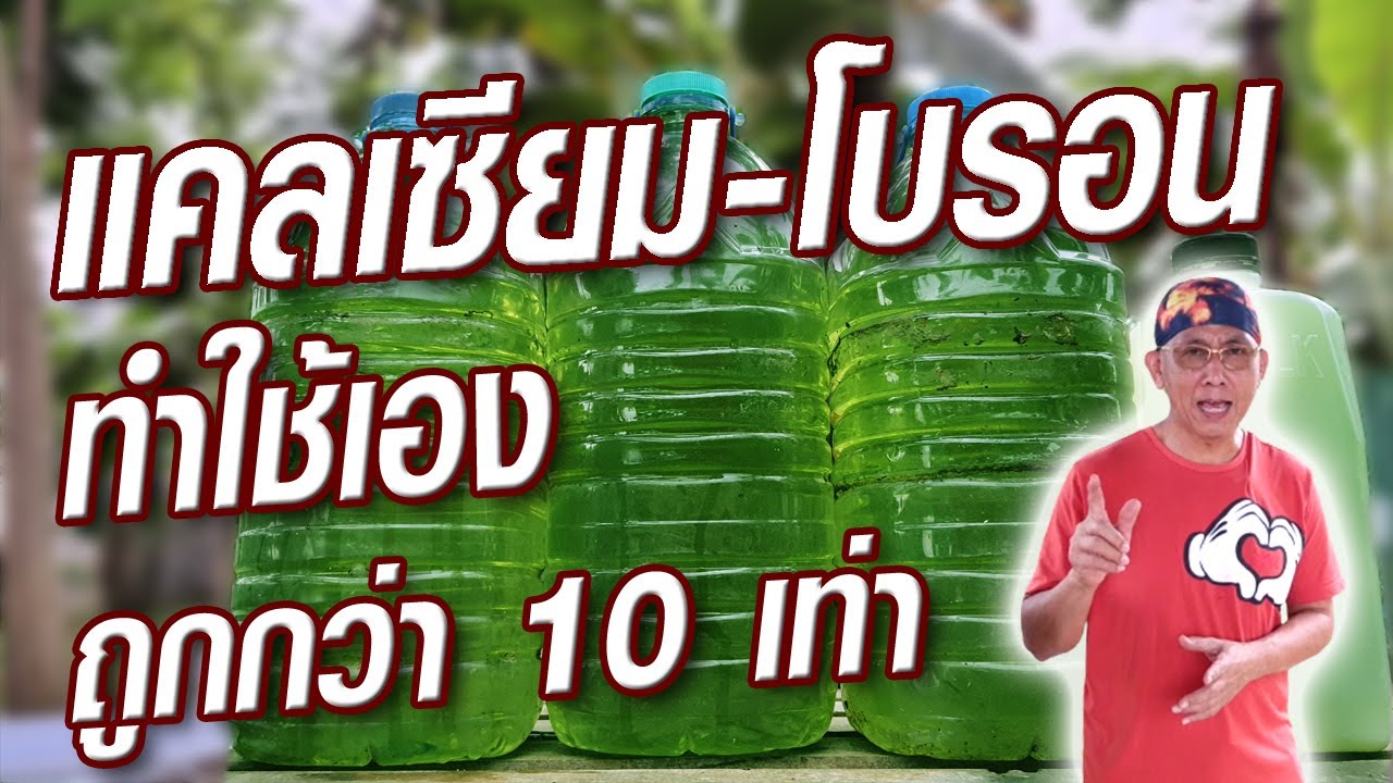 ทำแคลเซียมโบรอน กระตุ้นการแตกตาดอก ลดการหลุดร่วงของขั้วดอก ขั้วผล @ครูสวัสดิ์พาทํา ทําไปเรื่อย