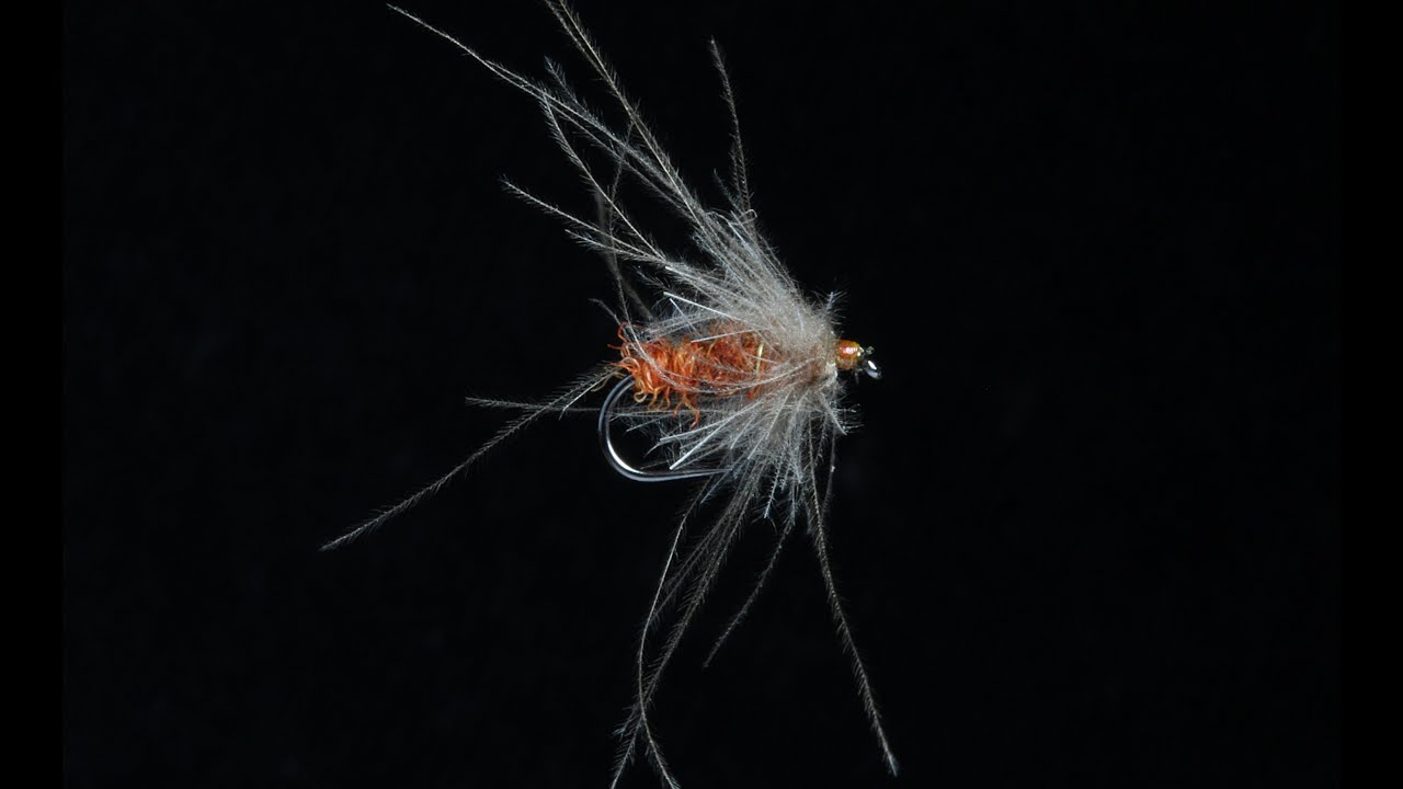 MOSCERINO FIAMMEGGIANTE