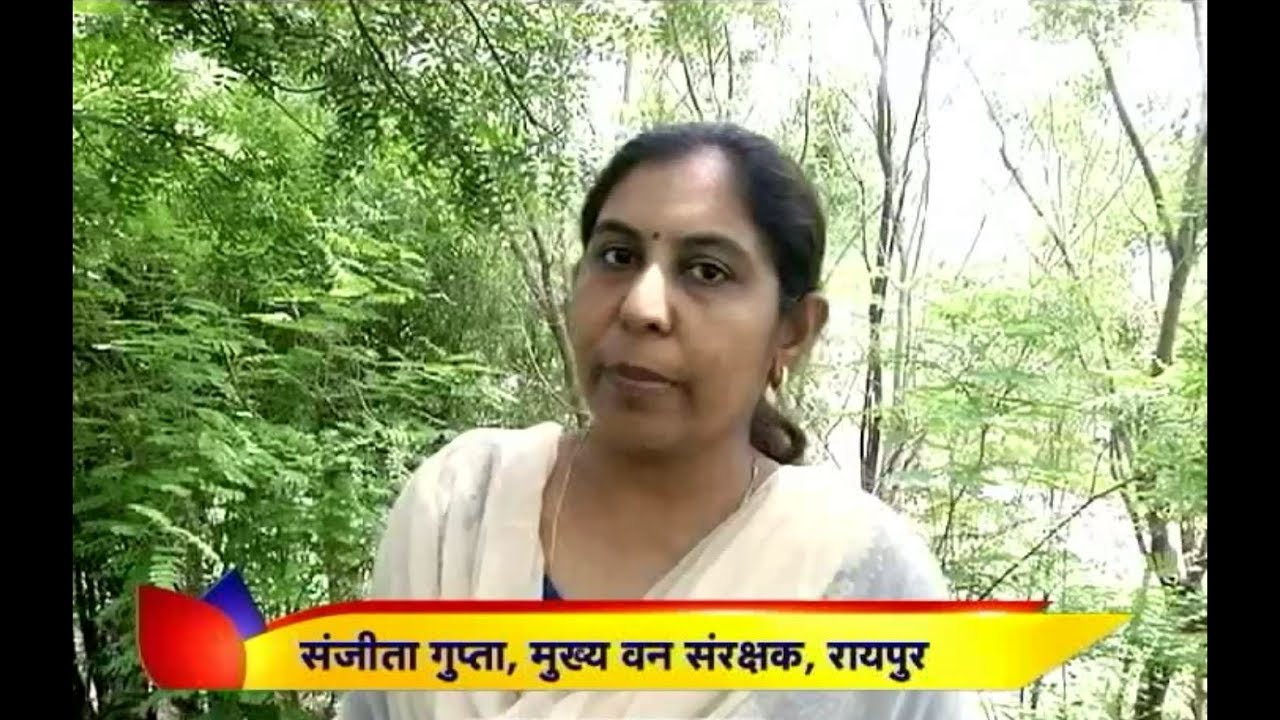 Smt Sanjeeta Gupta I.F.S !! Swayam Siddha