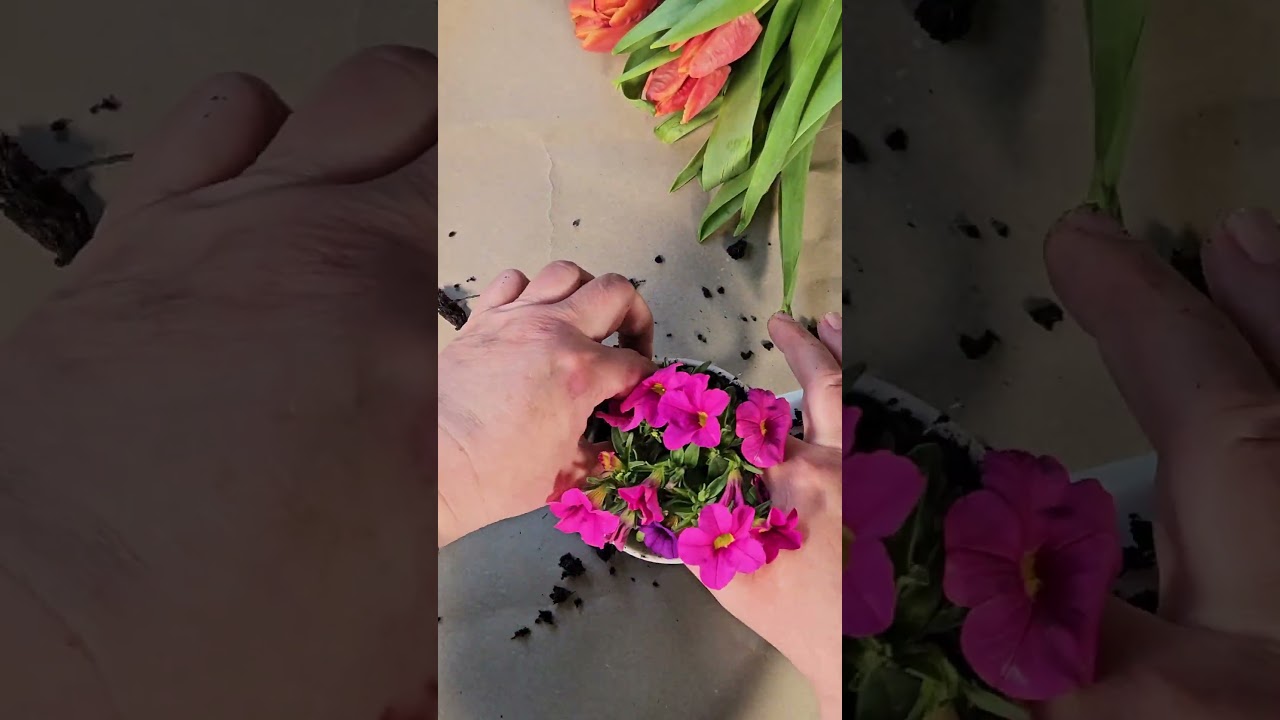 Eine au&szlig;ergew&ouml;hnliche Geschenk-Idee?! 😉 | FROG.coffee