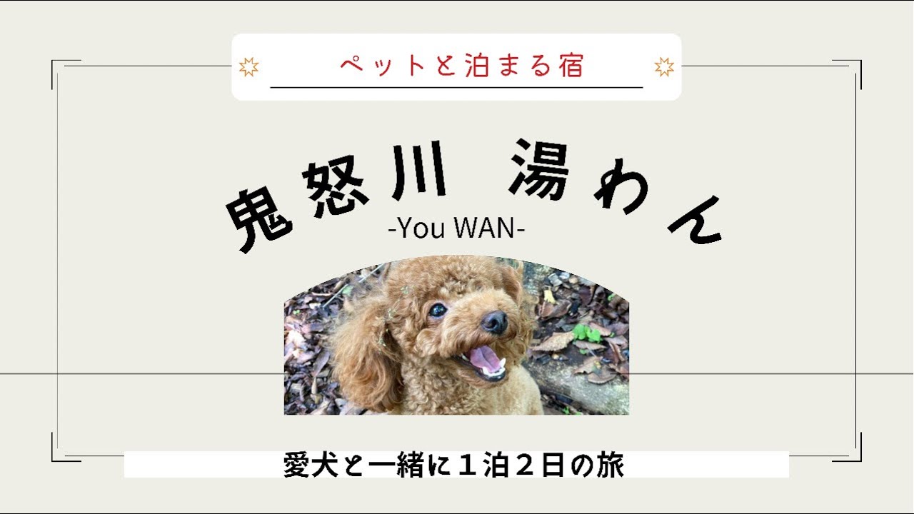 【旅行】ペットと泊まれる旅館に行きました！(前編)【鬼怒川 湯わん】