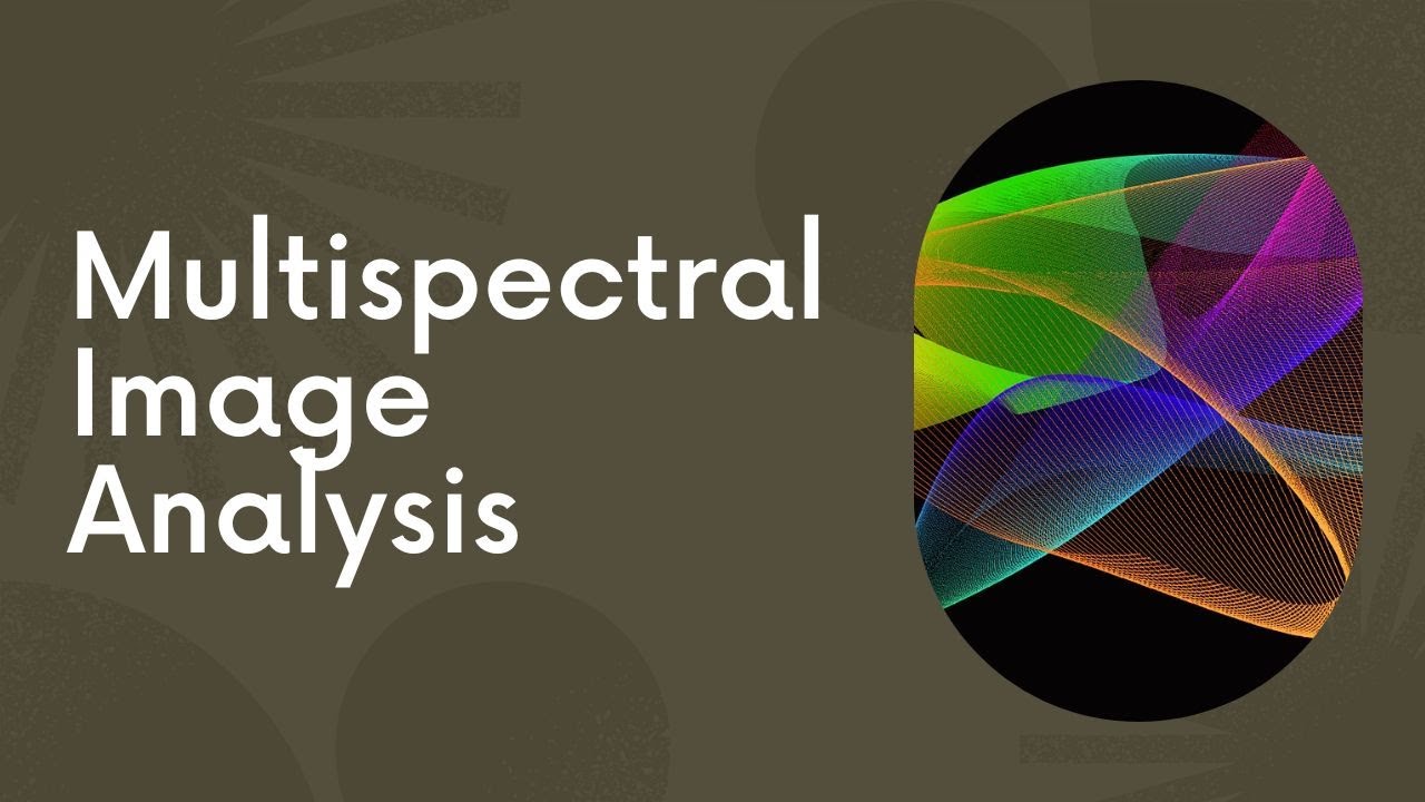 Multispectral Image Analysis