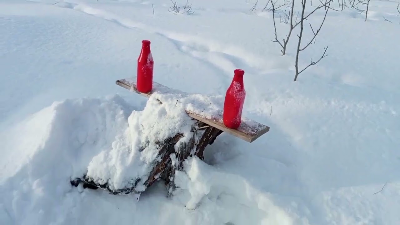 Супер плинк на лесной дороге !👍👍👍
