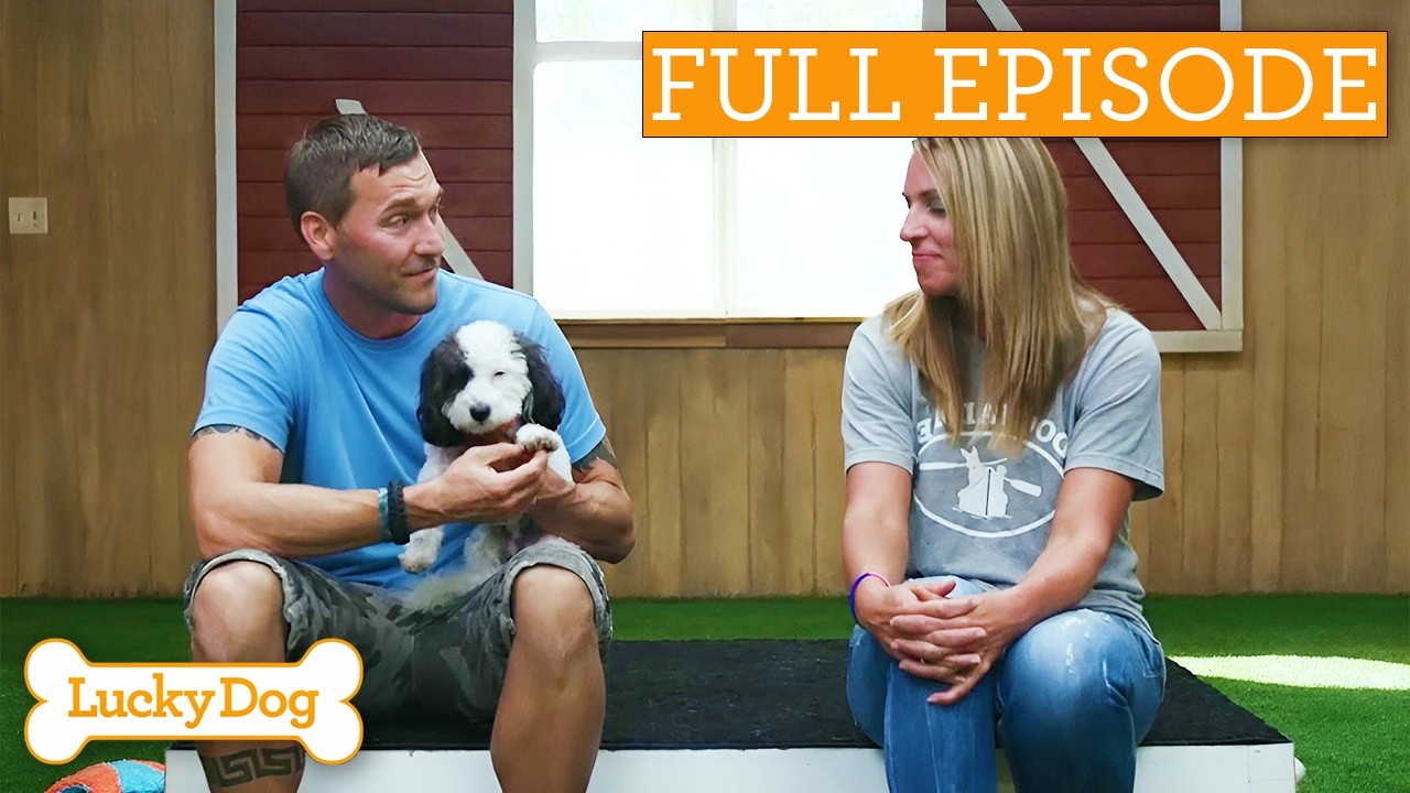 Former Rescue Dogs Reunited For Heartwarming Update! | Full Episode S4 Ep25