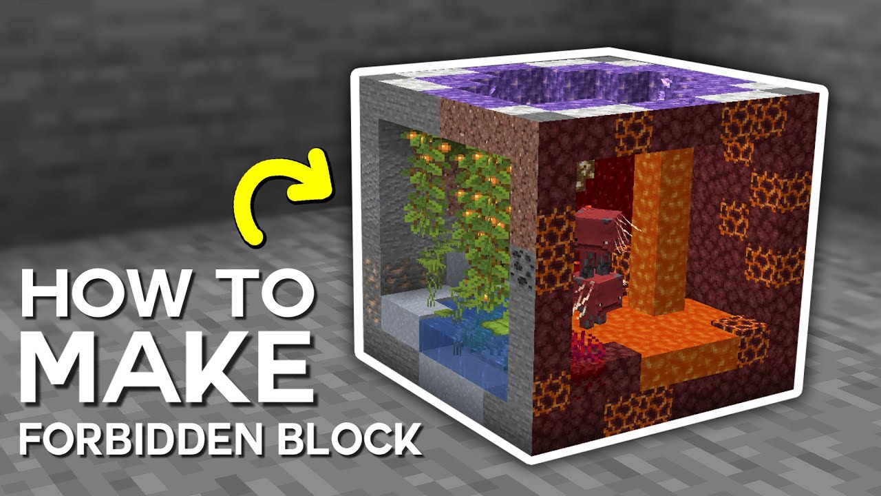 Minecraft Immersive Portals Mod | The Forbidden Block Tutorial